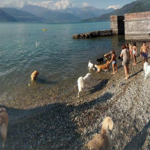 Dog beach Dervio Lake Como