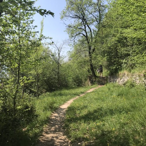 Path Como lake
